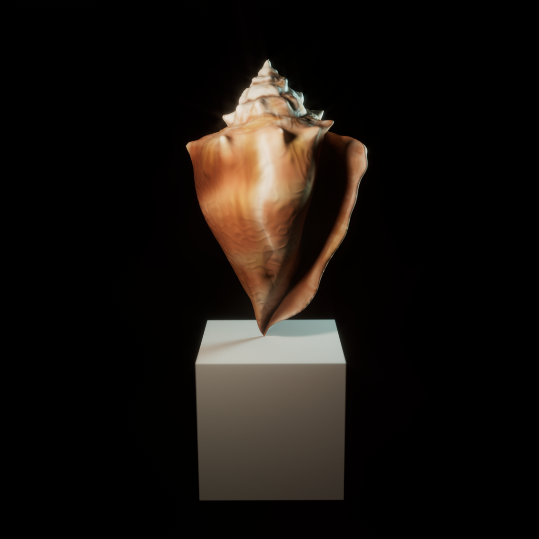 Shell+light.png