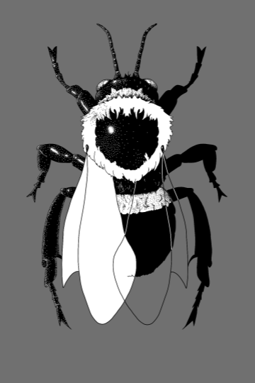 A digital illustration of a hybrid creature combining a bee and a bat, featuring bee wings, antennae, and a bat mouth.