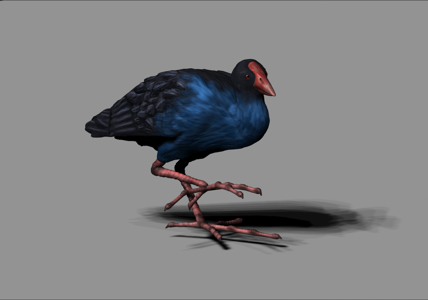 3_pukeko_thai_FINAL.png
