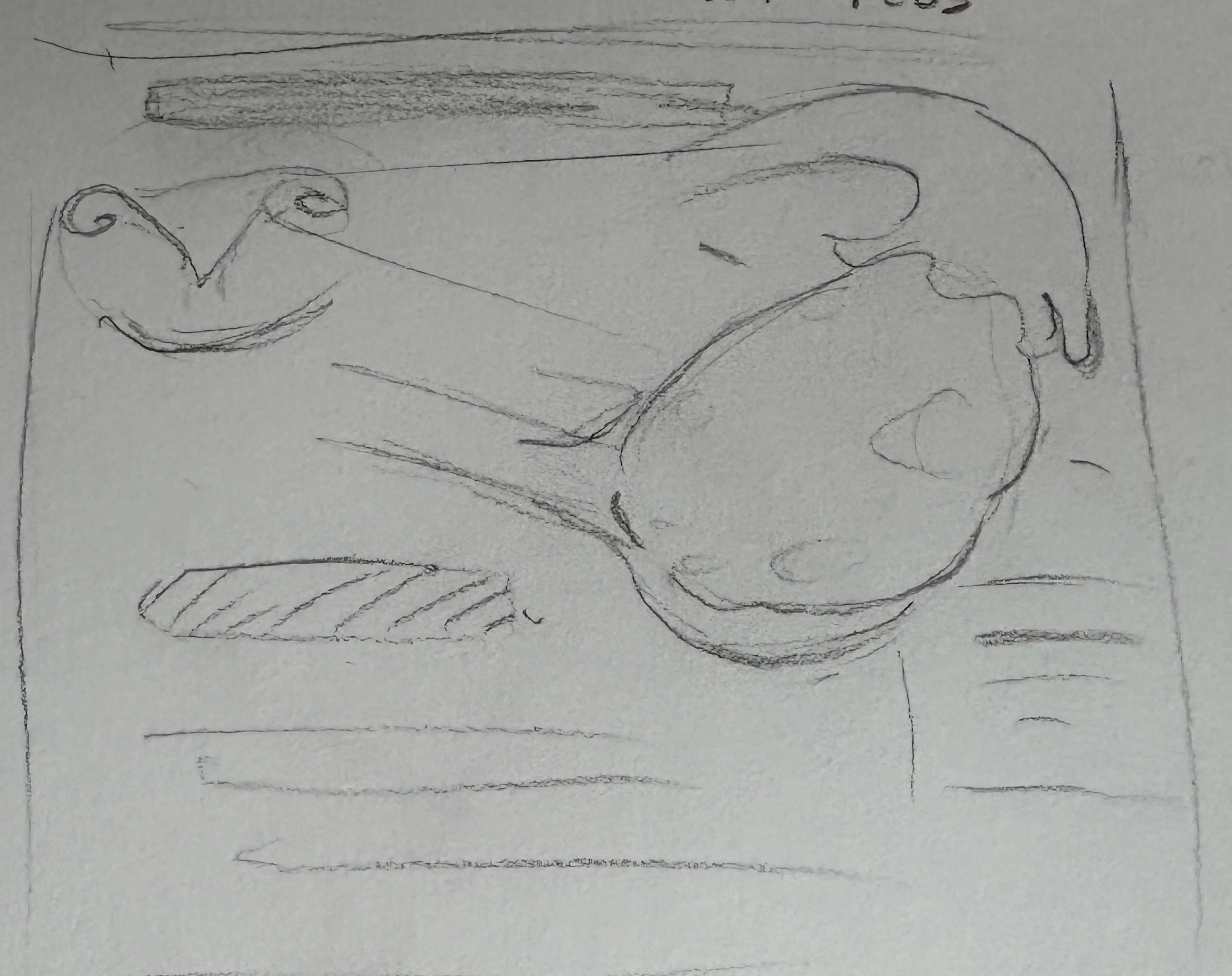 A simple pencil sketch of a person's side profile with closed eyes, a nose, lips, and hair, on a white background.