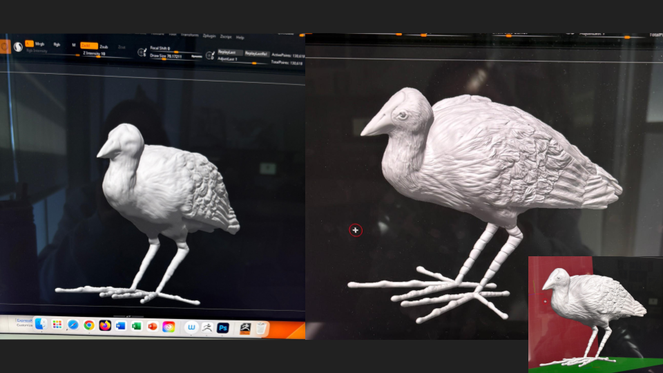 Comparison of 3D-printed turkey models displayed on computer screens, showing different angles and textures of the same model.