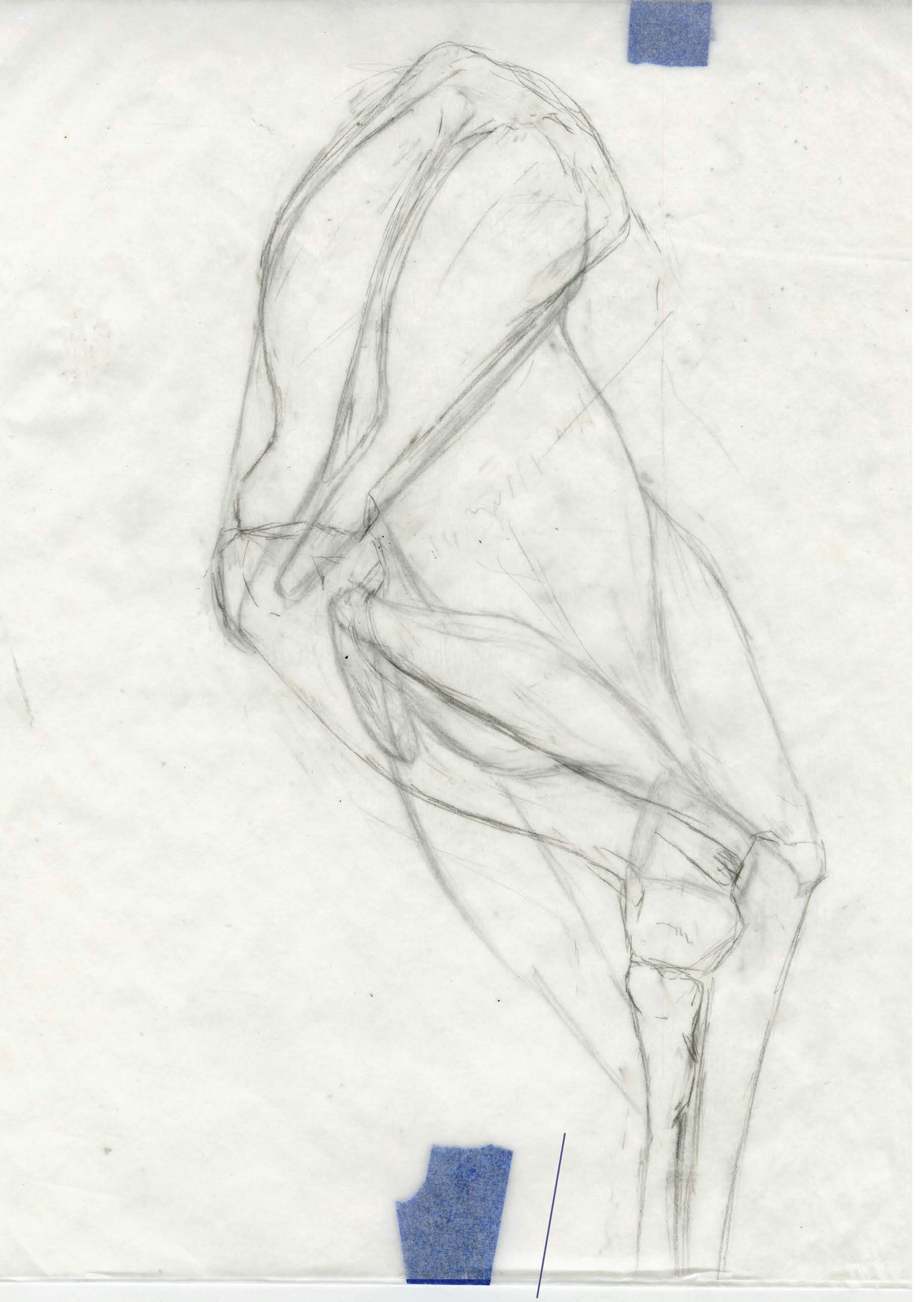 A pencil sketch of a person's arm and hand holding a pencil, with the arm bent at the elbow. The paper has some blue tape in the corners.