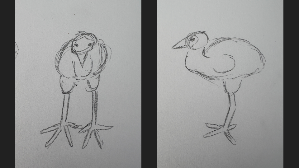Sketch of a girl with pigtails on the left and a bird on the right, both drawn in pencil.