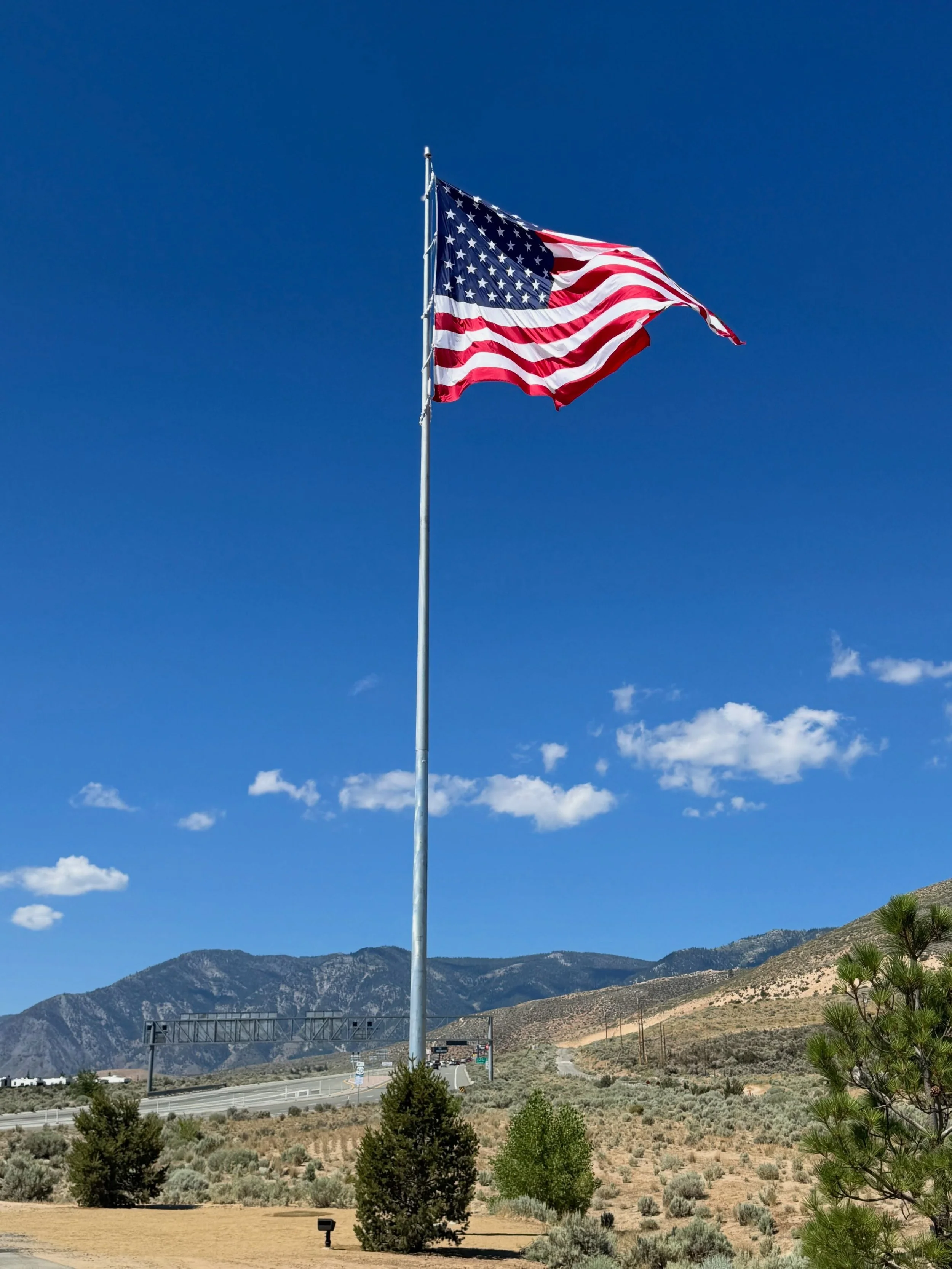 CARSON CITY FLAG POLE PROJECT