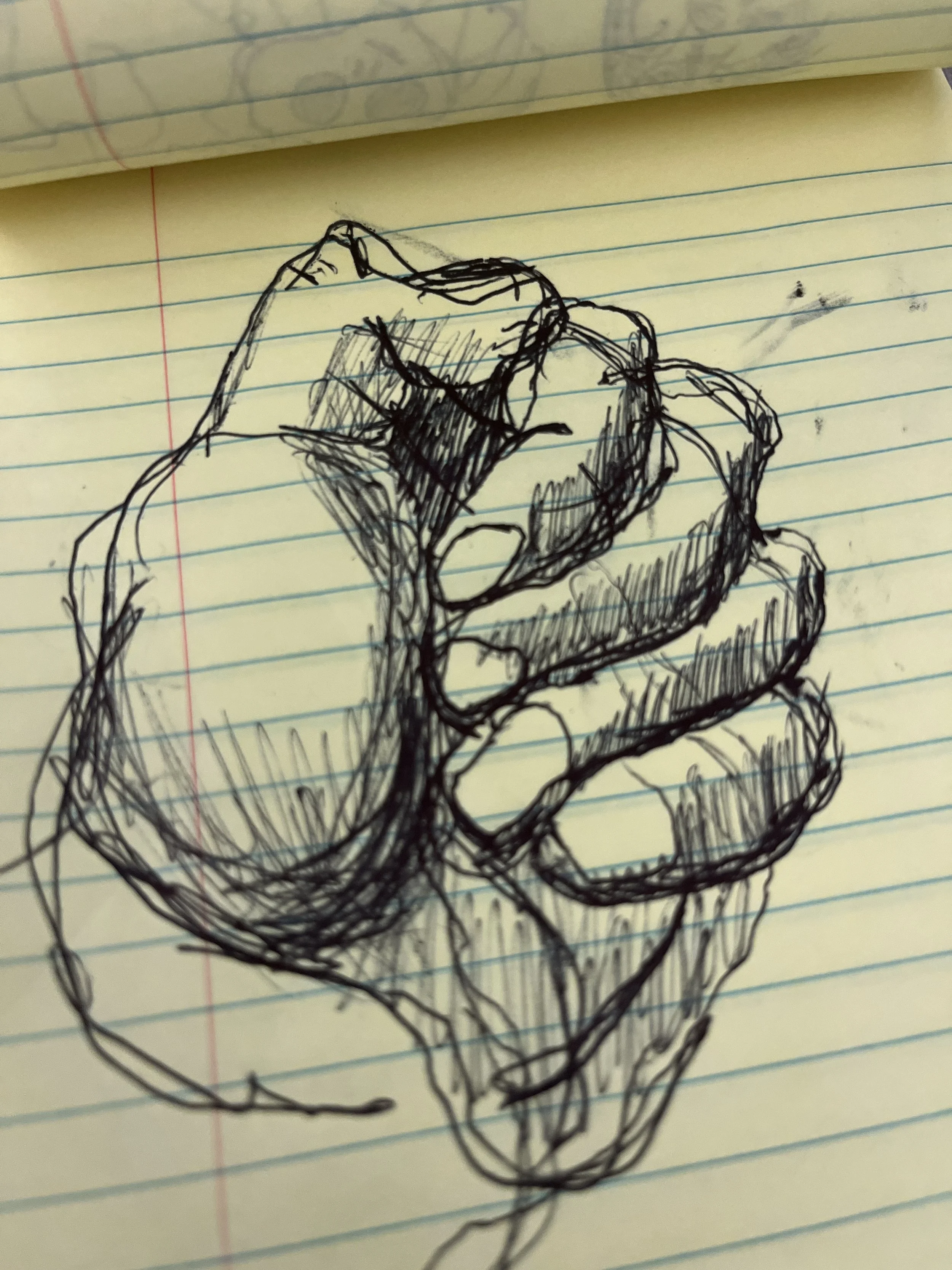 IMG_5266.JPG
