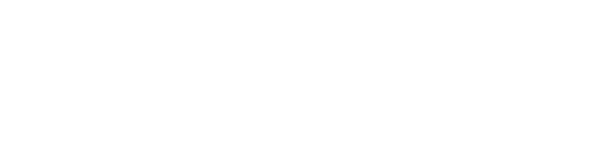 THE STANDARD