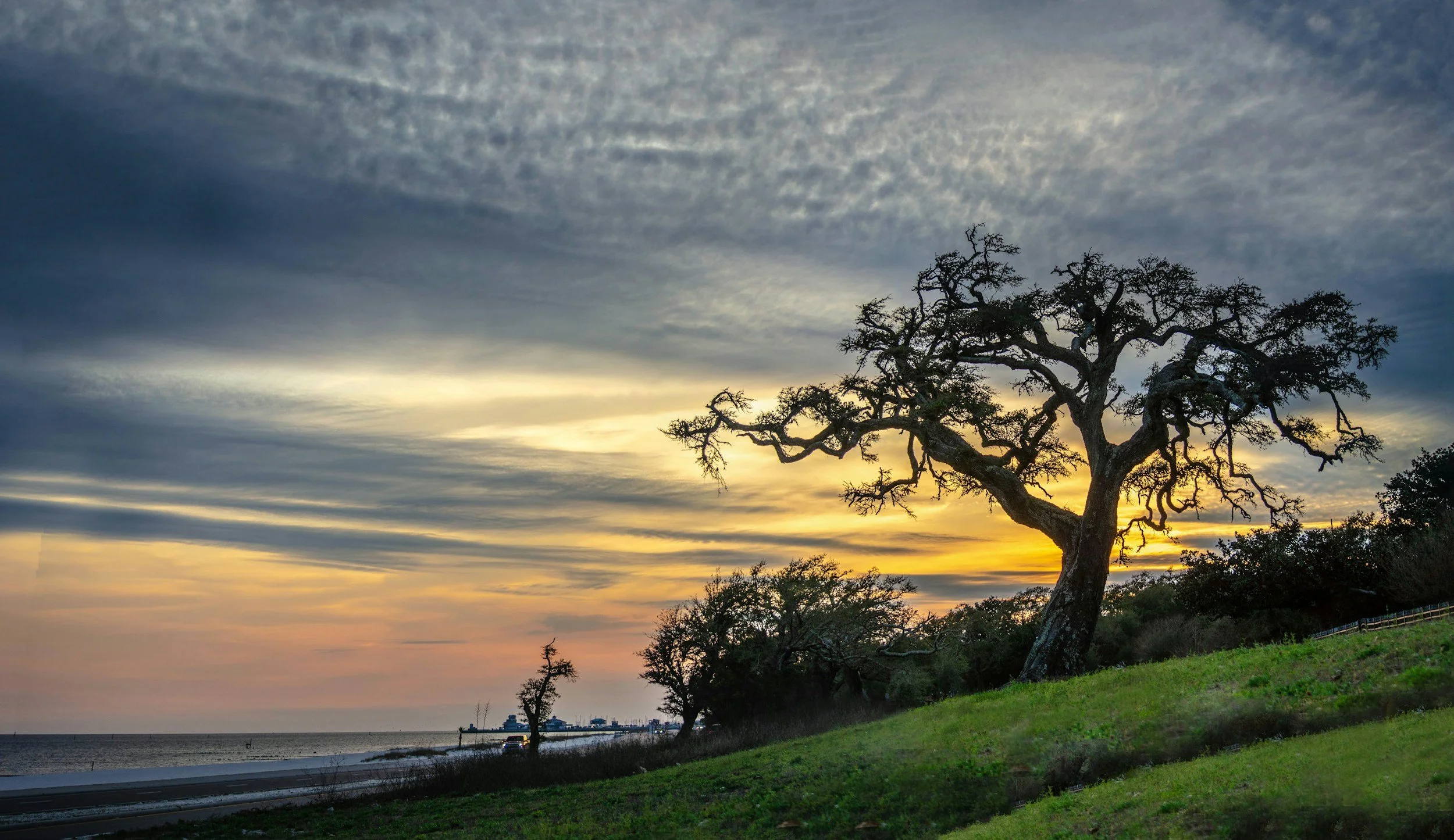 A sunset over a coastal landscape with a large, gnarled tree in the foreground and a body of water with boats in the distance.