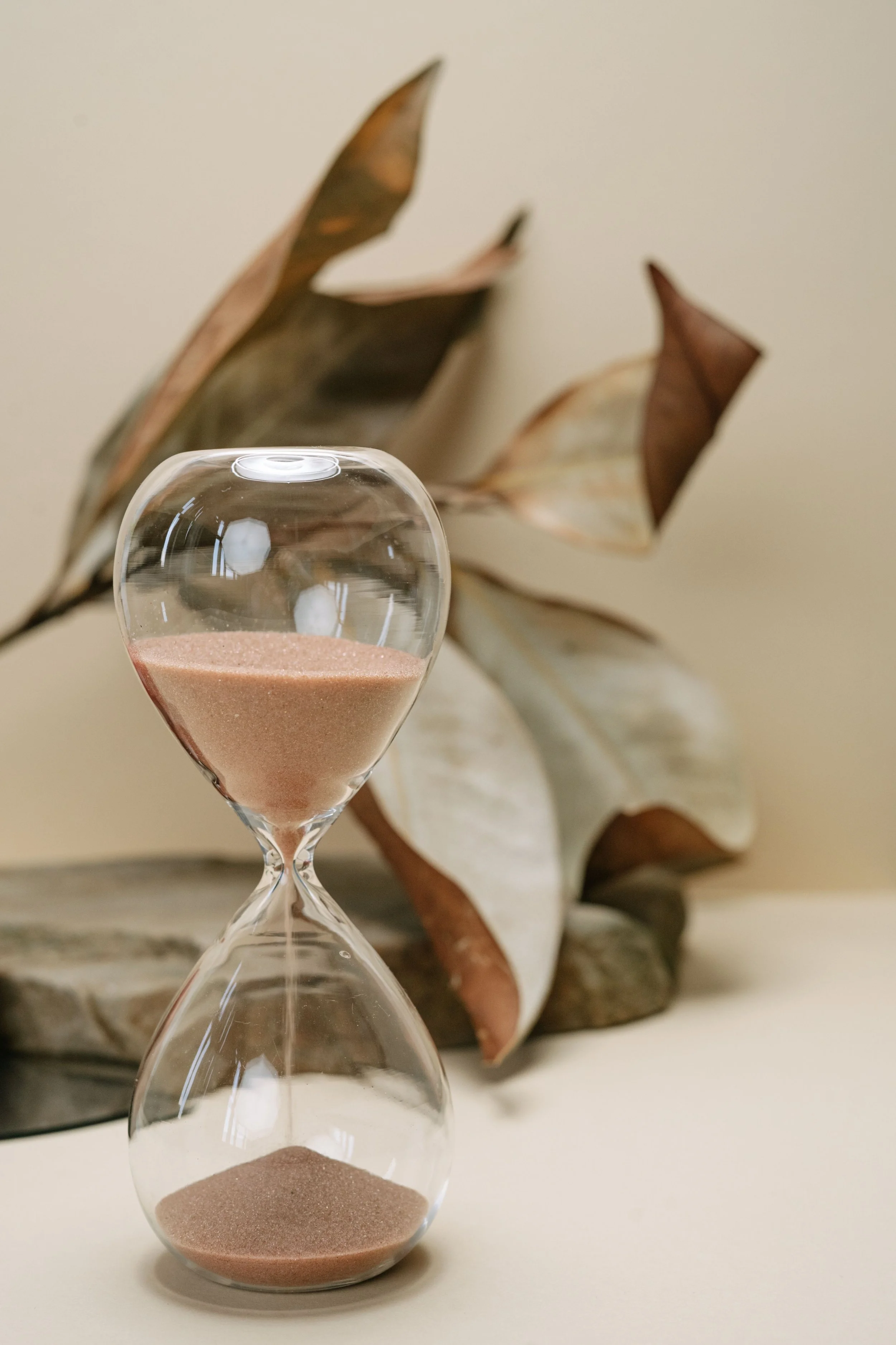An hourglass filled with light brown sand placed in front of a dried plant with large, curled leaves.
