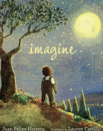 Imagine Reader's Guide