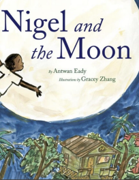 Nigel and the Moon Reader's Guide