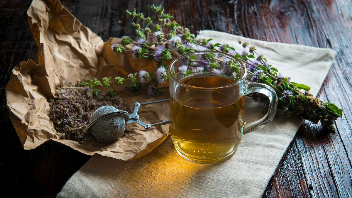 The Infusion Intensive