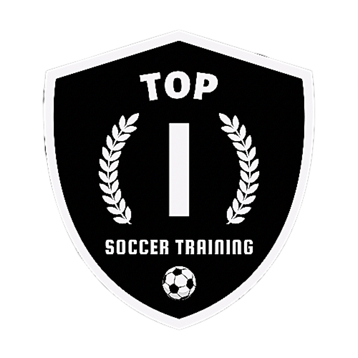 Top 1 Soccer Training