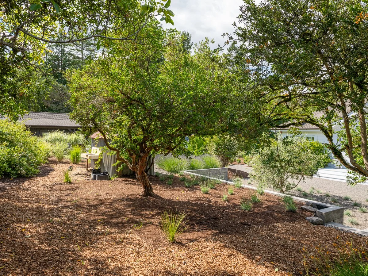 A backyard garden with trees, shrubs, a wood mulch ground cover, and a small shed with outdoor furniture.