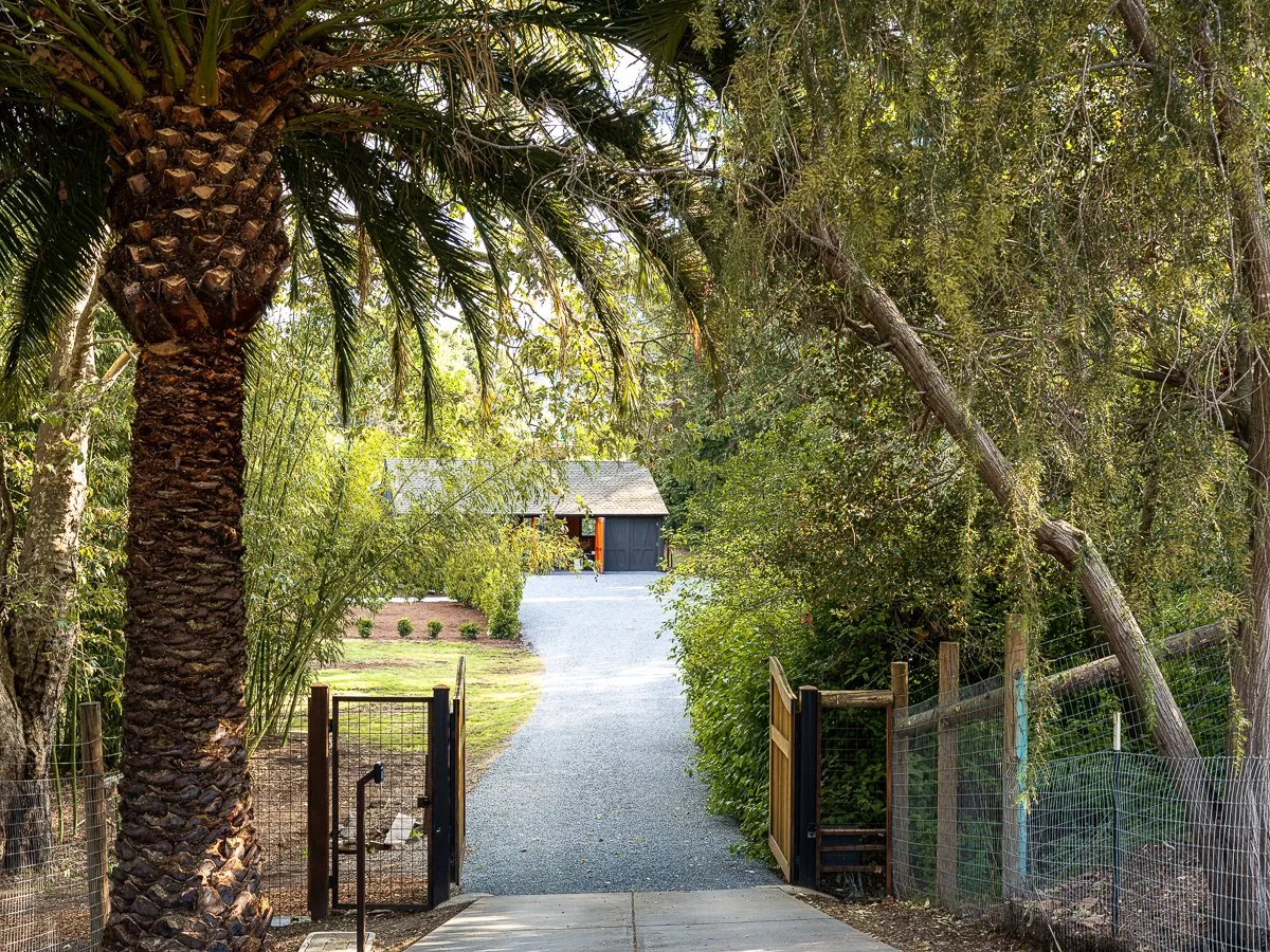 A gravel driveway leading to a large dark garage door, bordered by trees and fenced areas, with a palm tree on the left and a leaning tree on the right.
