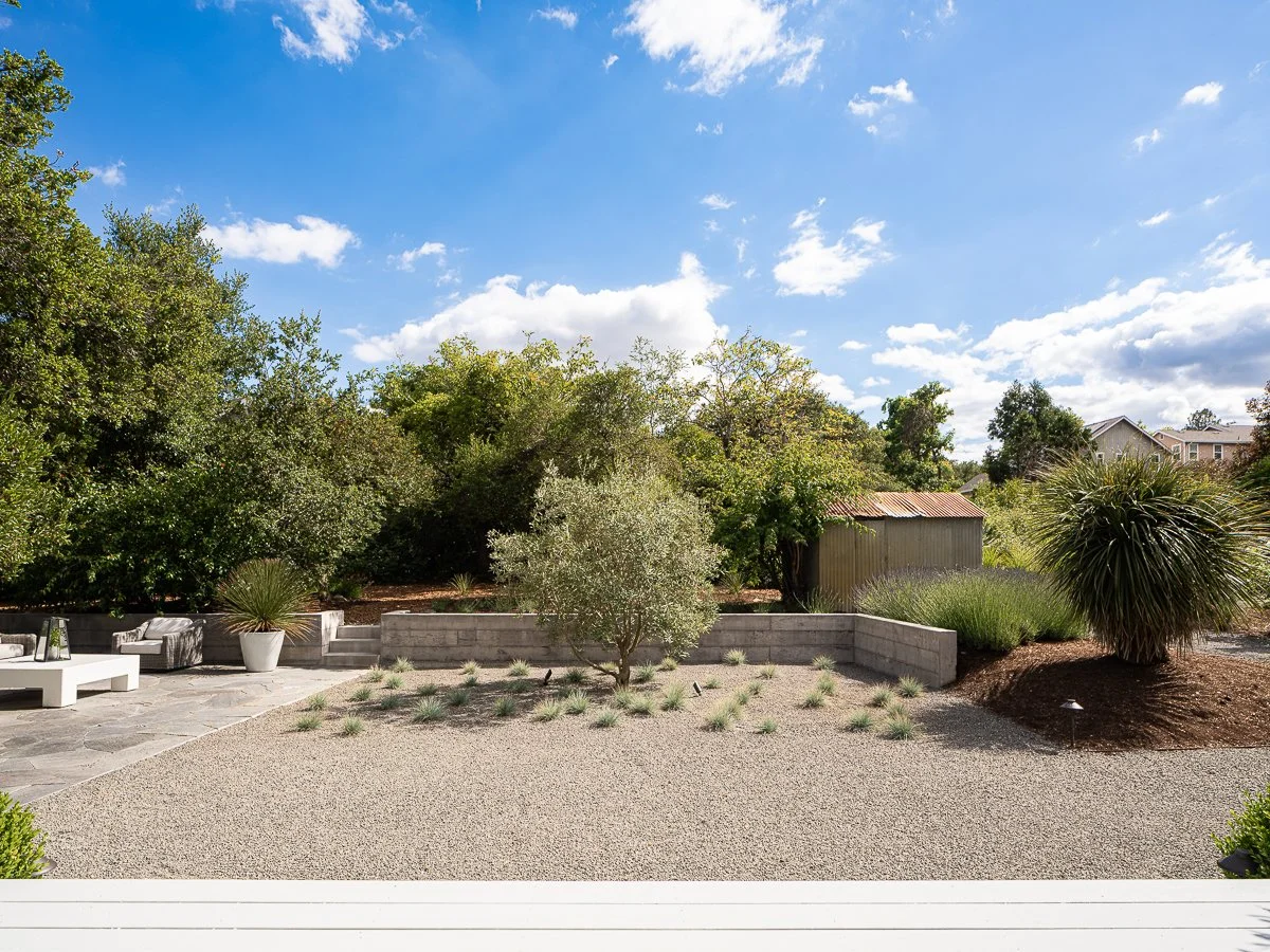 A backyard with a stone patio, outdoor seating, a small tree, and various plants against a background of lush green trees and a blue sky with clouds.