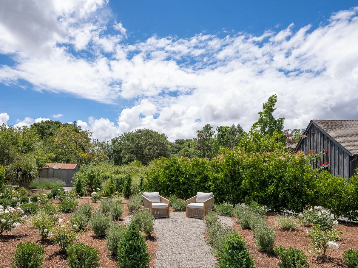 A garden with two chairs on a gravel path, surrounded by bushes, flowers, and trees under a partly cloudy sky.