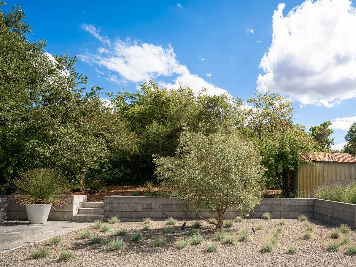 A landscaped backyard with a gravel area, a small tree, potted plant, concrete retaining wall, and lush green trees under a blue sky with scattered clouds.