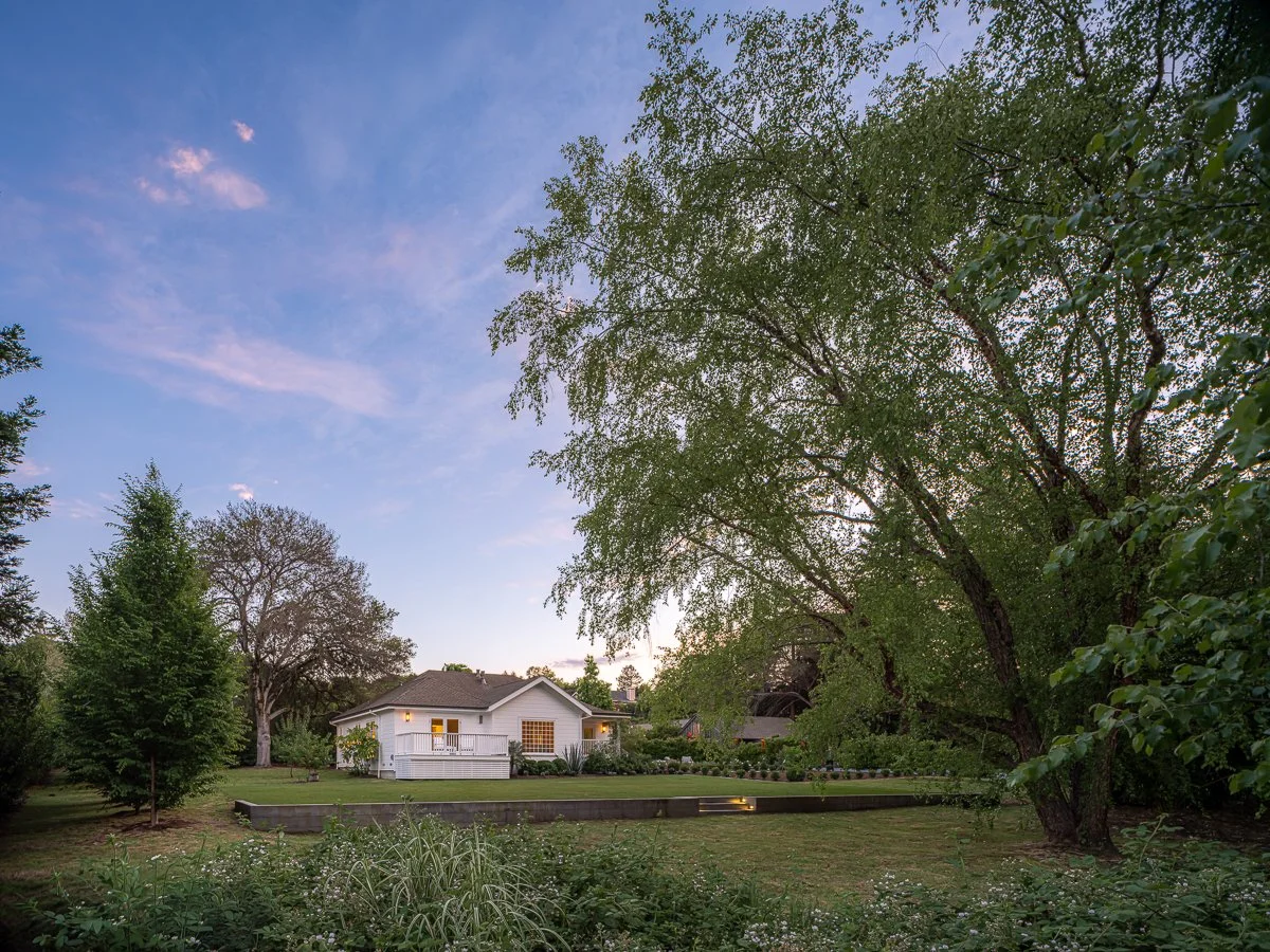 A backyard with a house, large trees, and a grassy lawn during dusk.