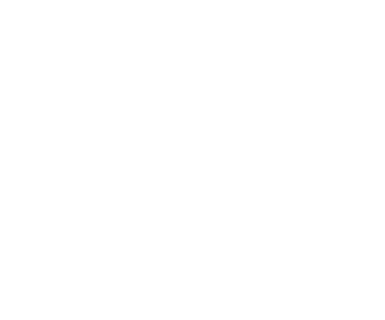 Vaerus Jet Sales logo