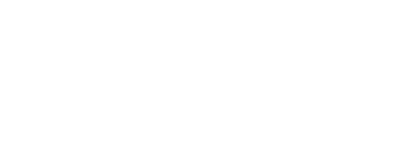 Advanced Aircrew Academy logo