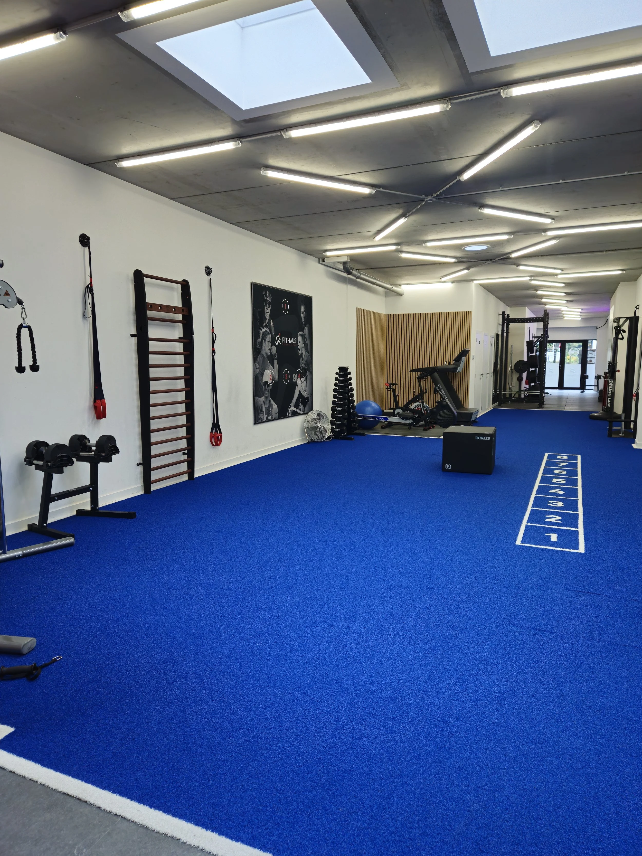 Binnenruimte van een sportschool met fitnessapparatuur, gewichten, en een touwladder, met een blauwe sportmat en een shuffleboard veld.