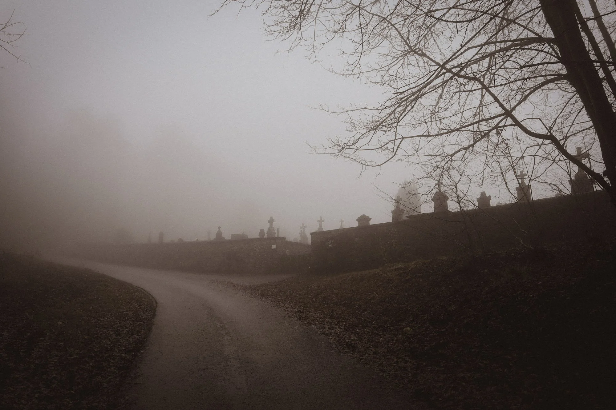 Take a stroll through the Cove's original cemetary!