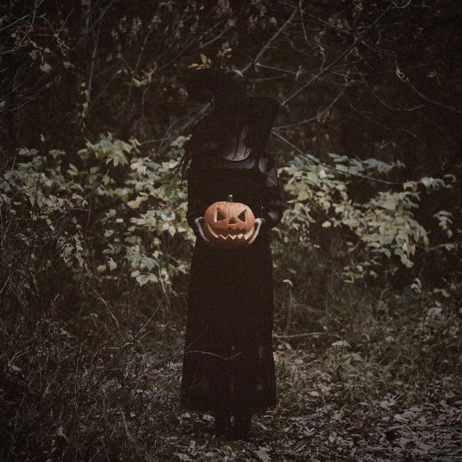 Abigail Lockewood's pumpkin patch