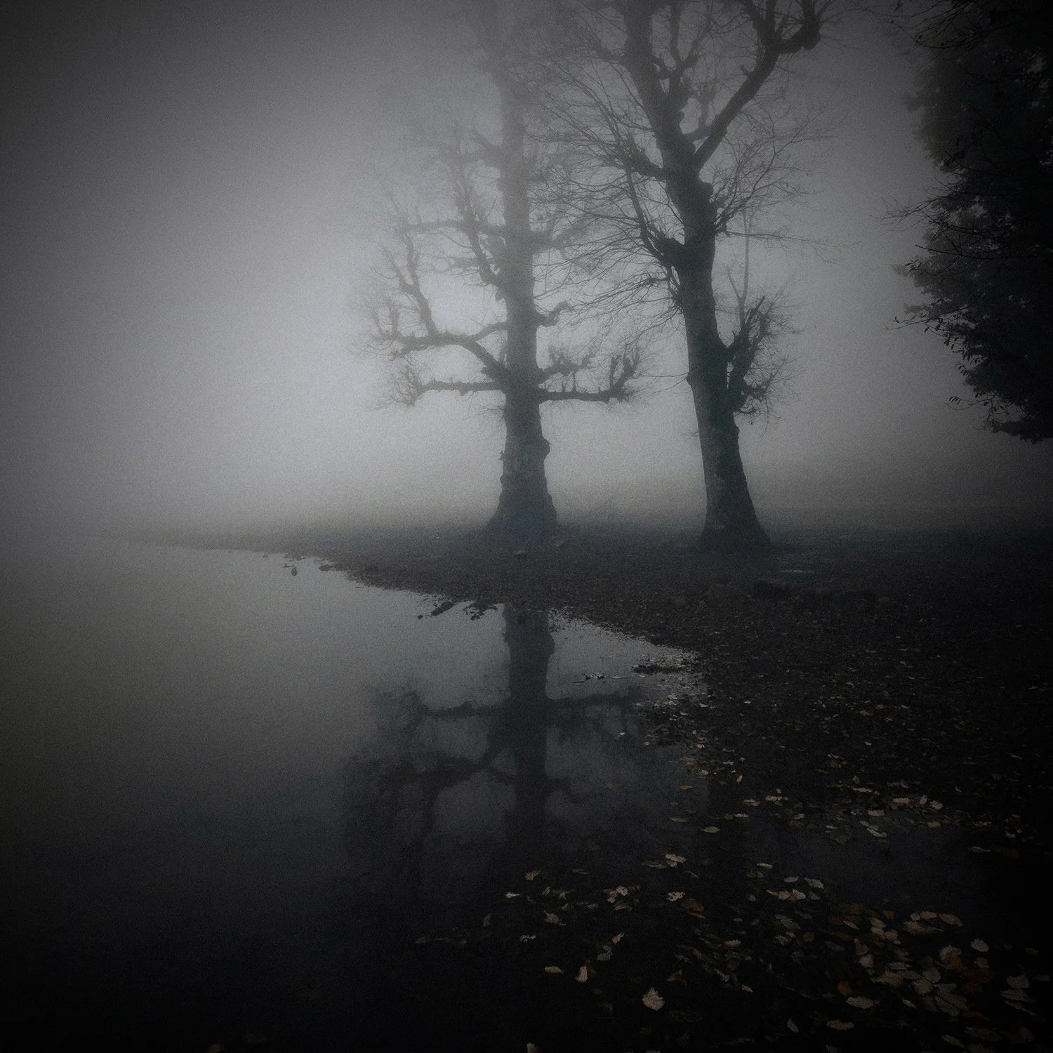 Pembroke's Pond