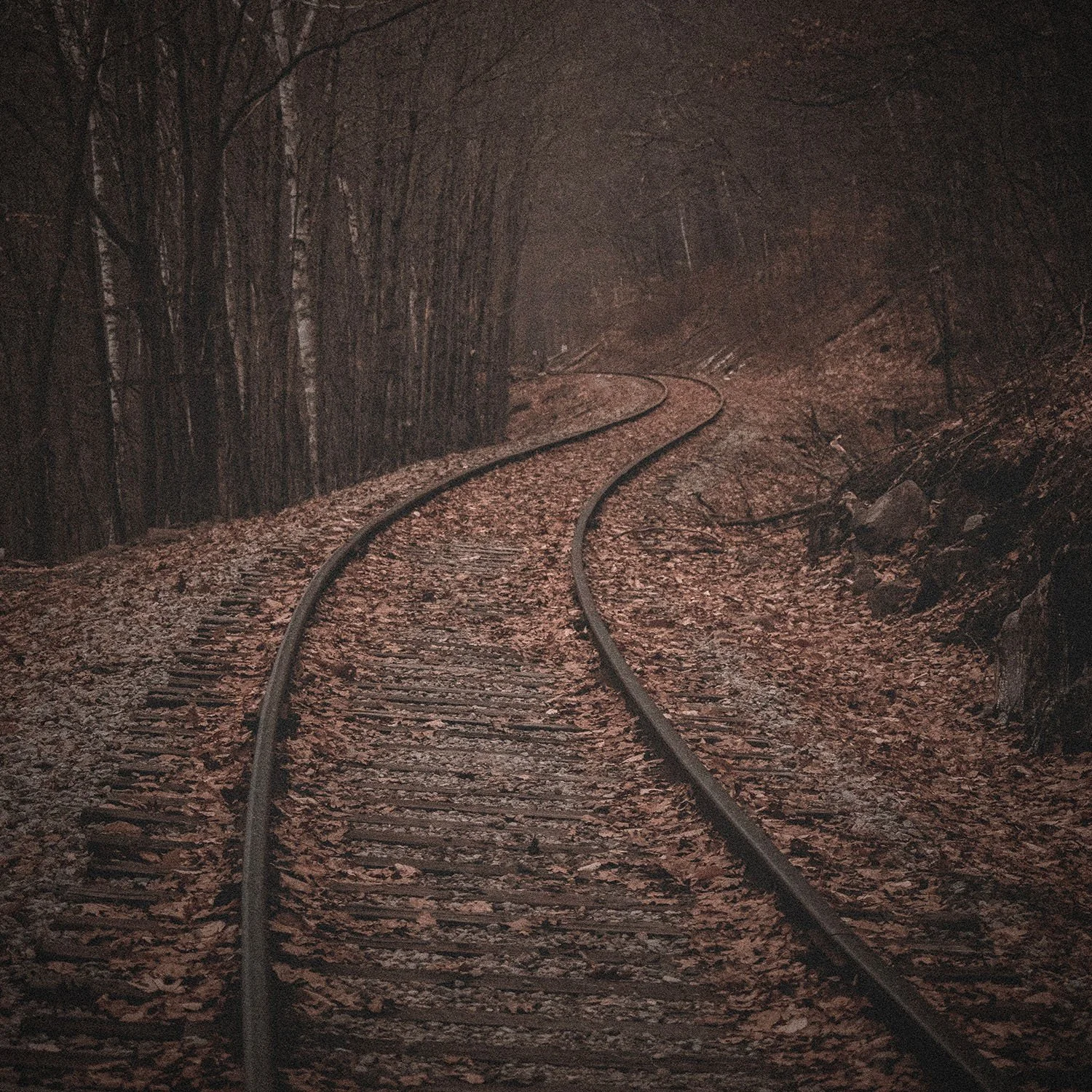 The Raven Express