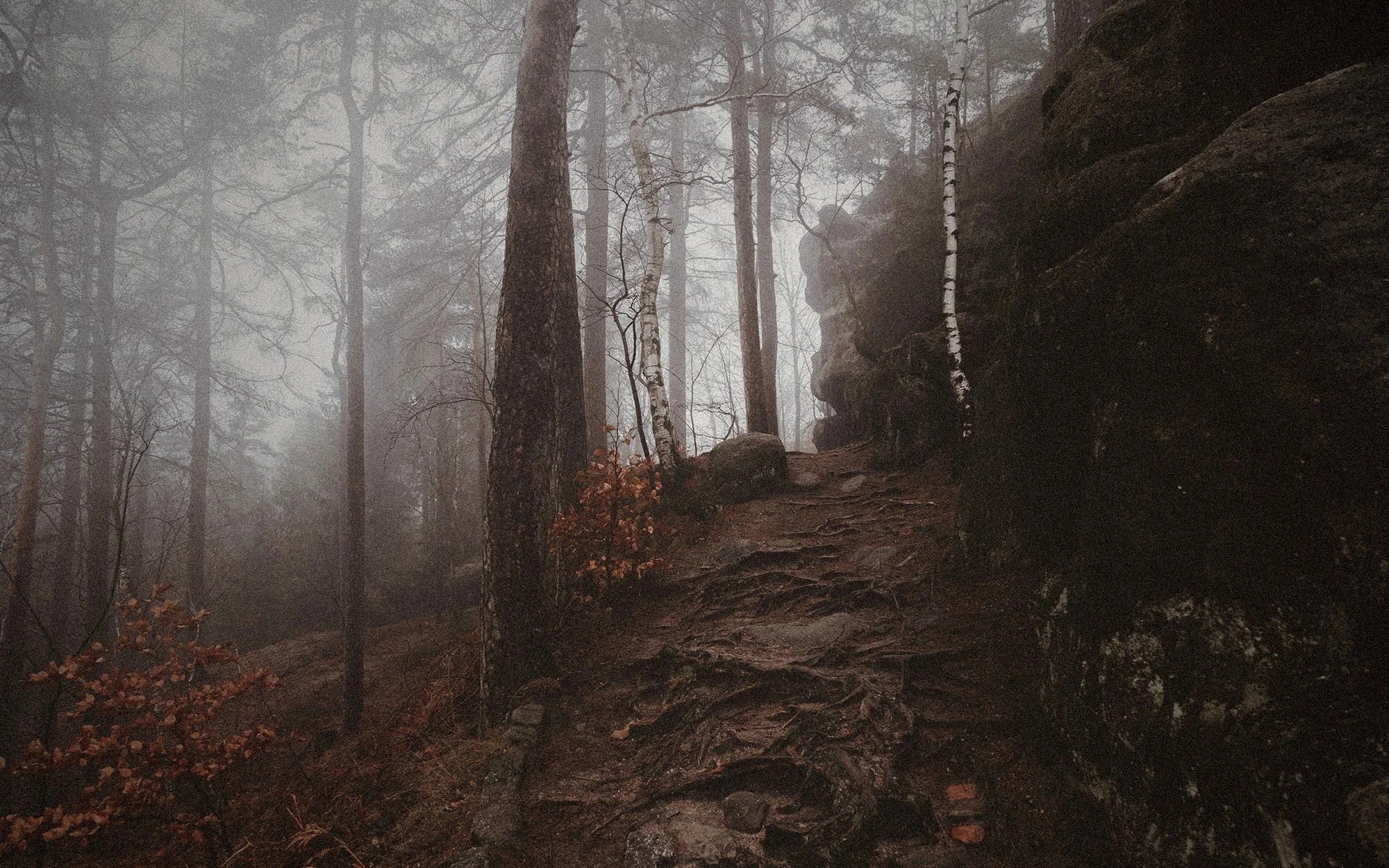 Hike Putnam's Trail, if you dare!