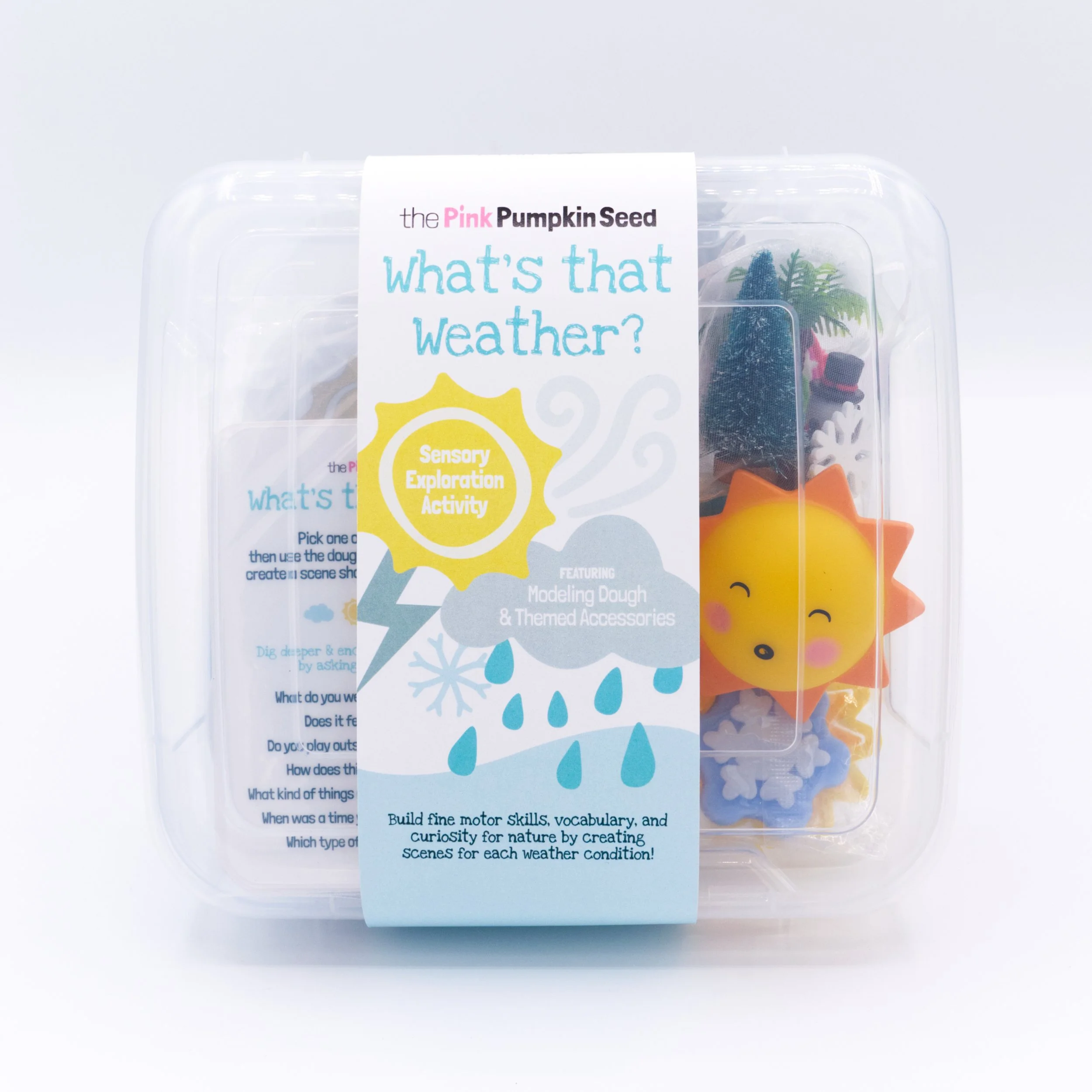What's that Weather? Sensory Activity
