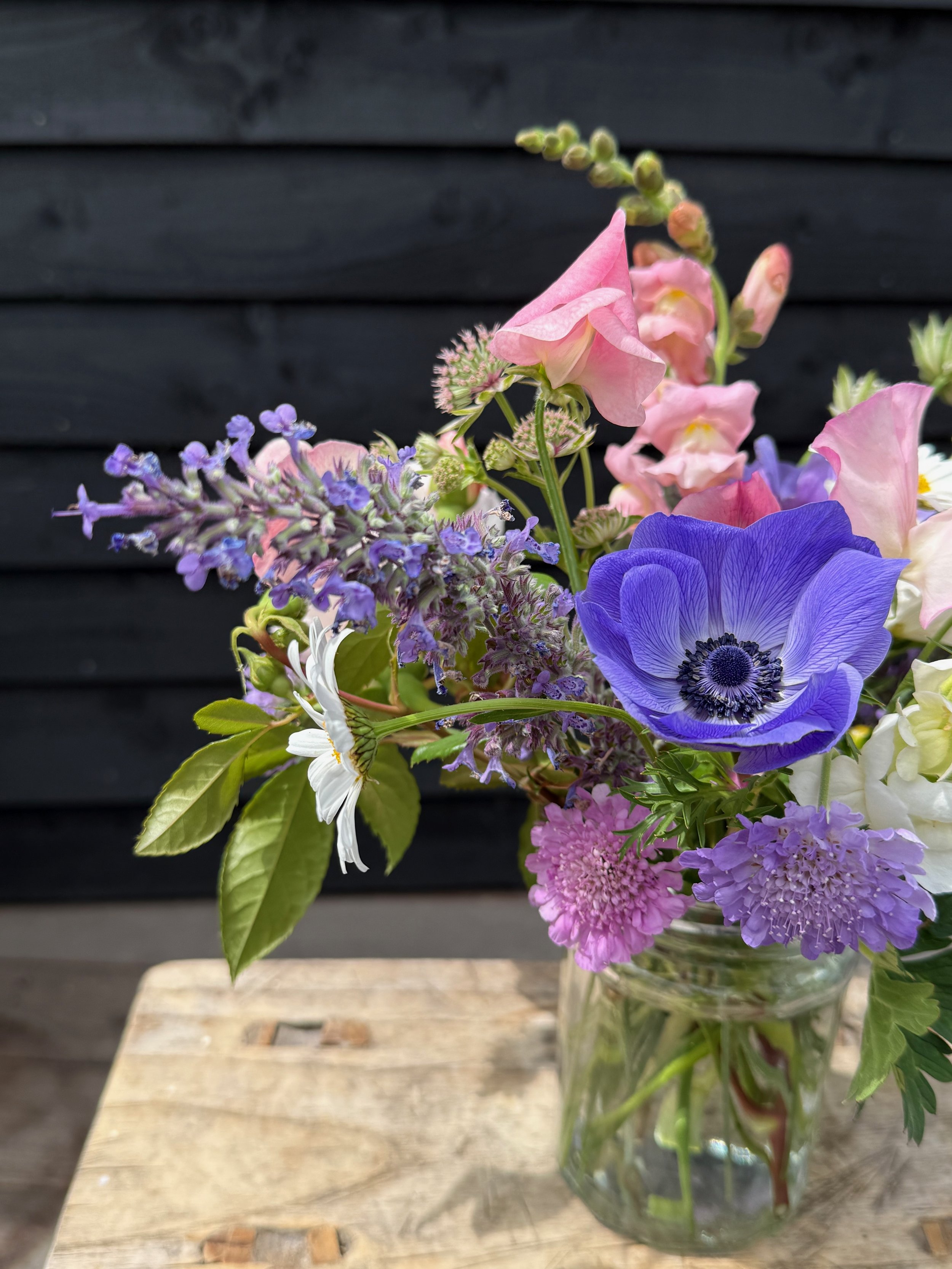 Friday Flowers — Four Weeks from the Garden
