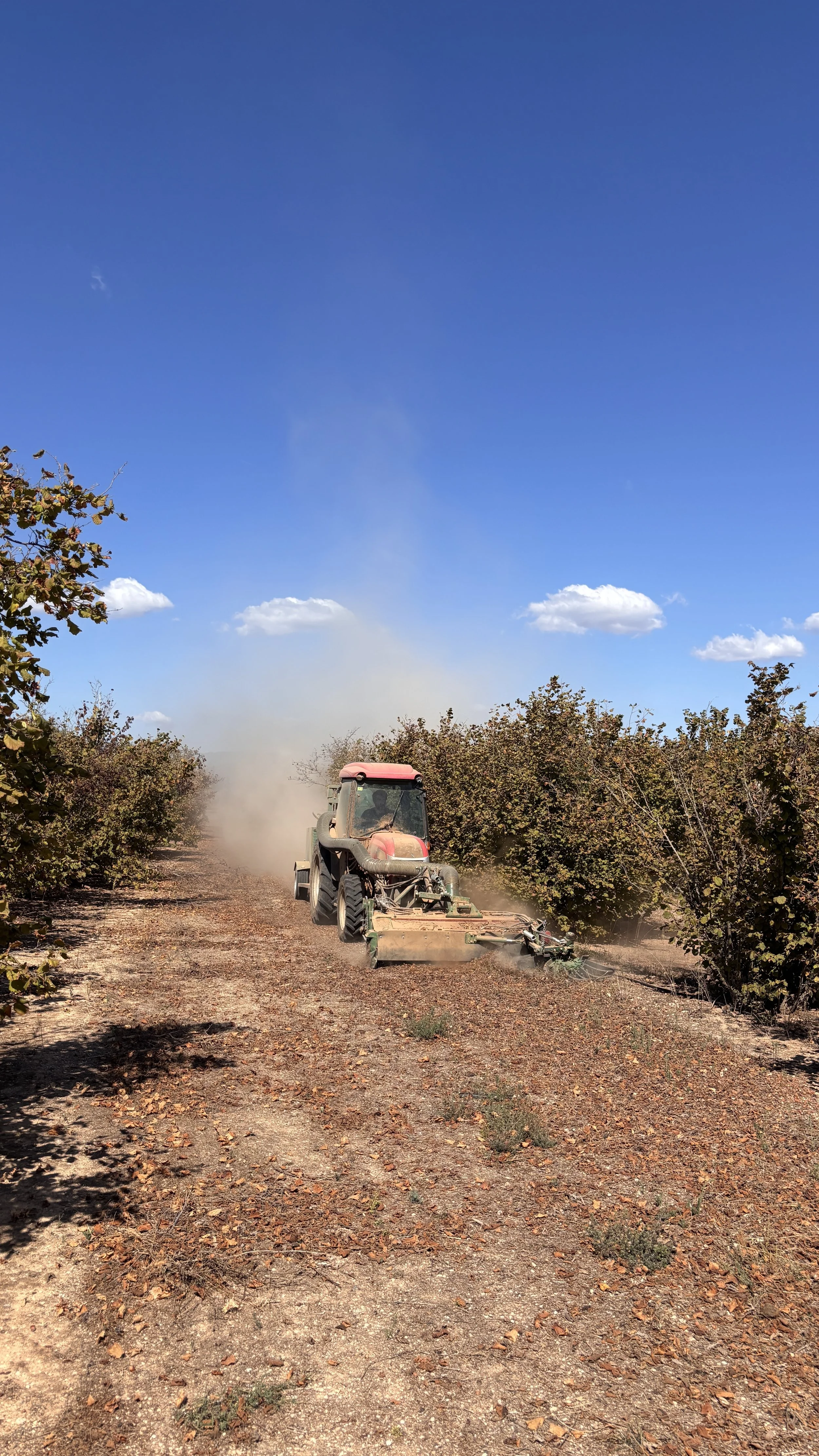 tractor collint avellanes a l'alt camp