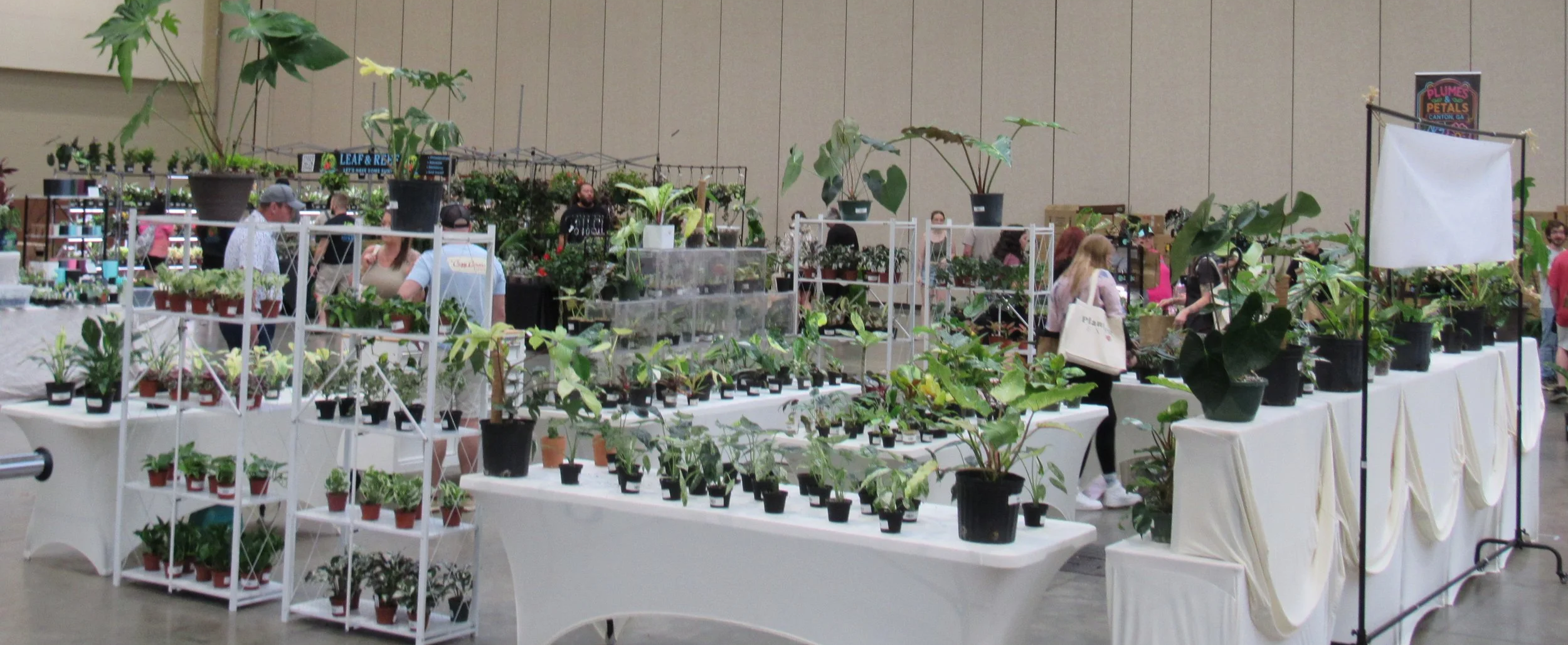 Indoor plant sale with tables and shelves filled with potted plants, people browsing and shopping.