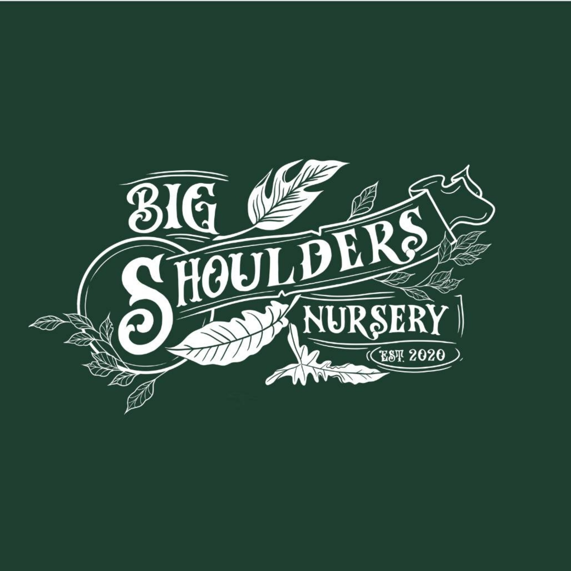 Logo of Big Sholders Nursery with decorative leaves on a dark green background, established in 2020.