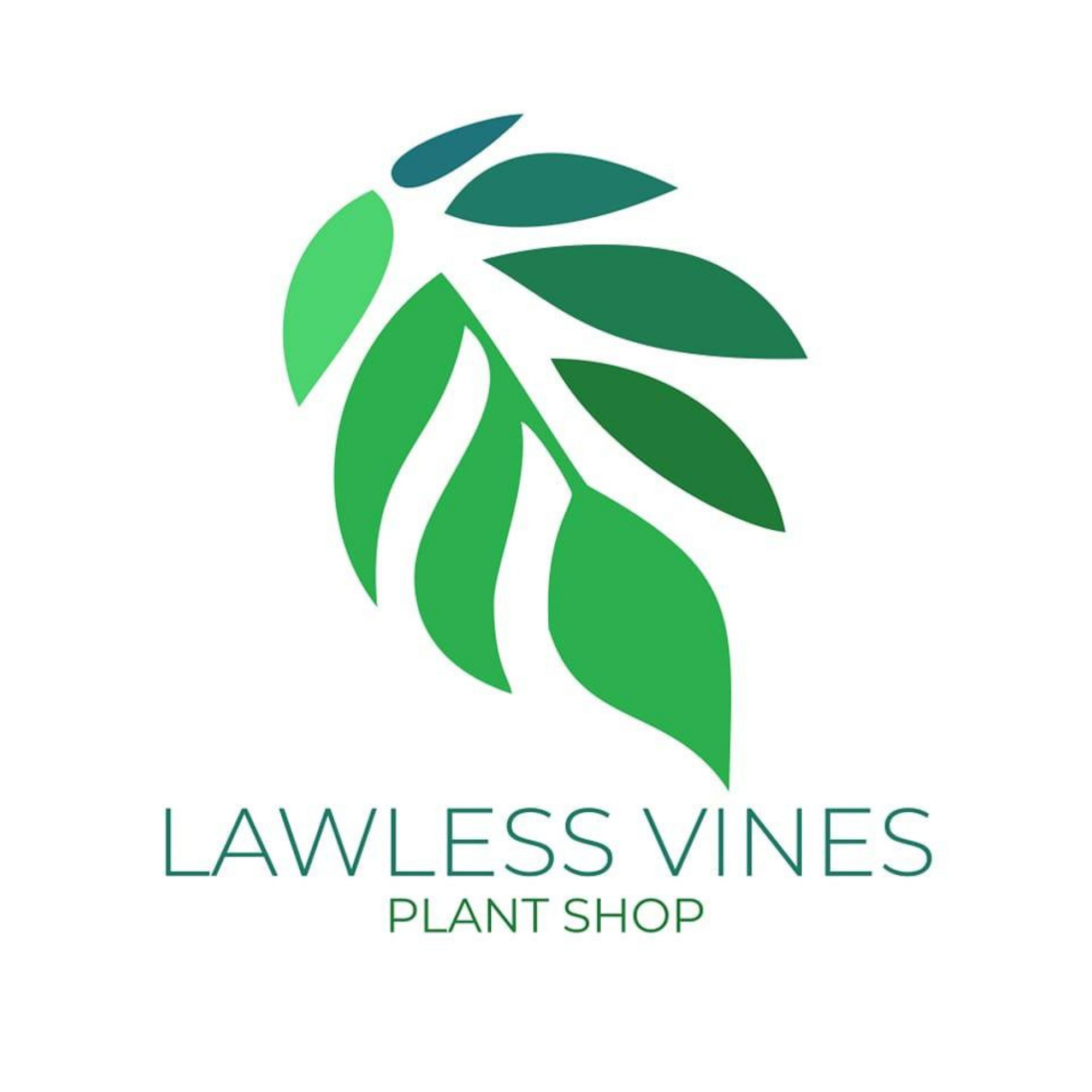 Logo of a plant shop featuring stylized green leaves arranged around a central stem with the text "Lawless Vines Plant Shop" below.