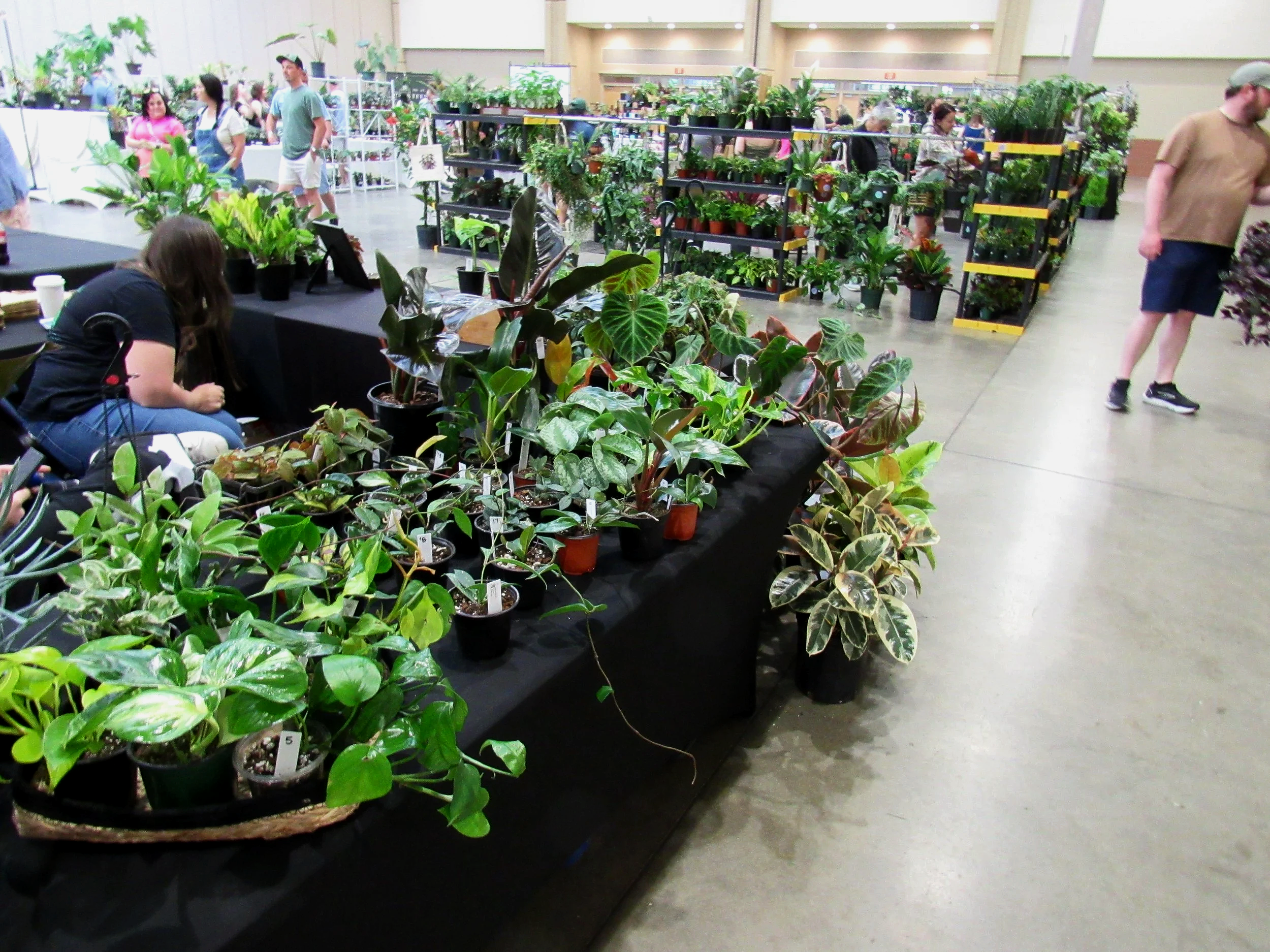 Indoor plant display at a gardening expo with various potted plants on black tables and shelves, and people walking in the background.