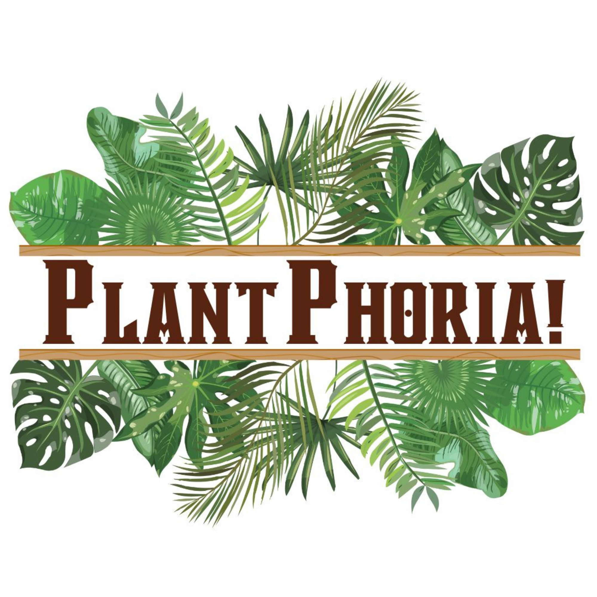 A collection of various green tropical leaves.