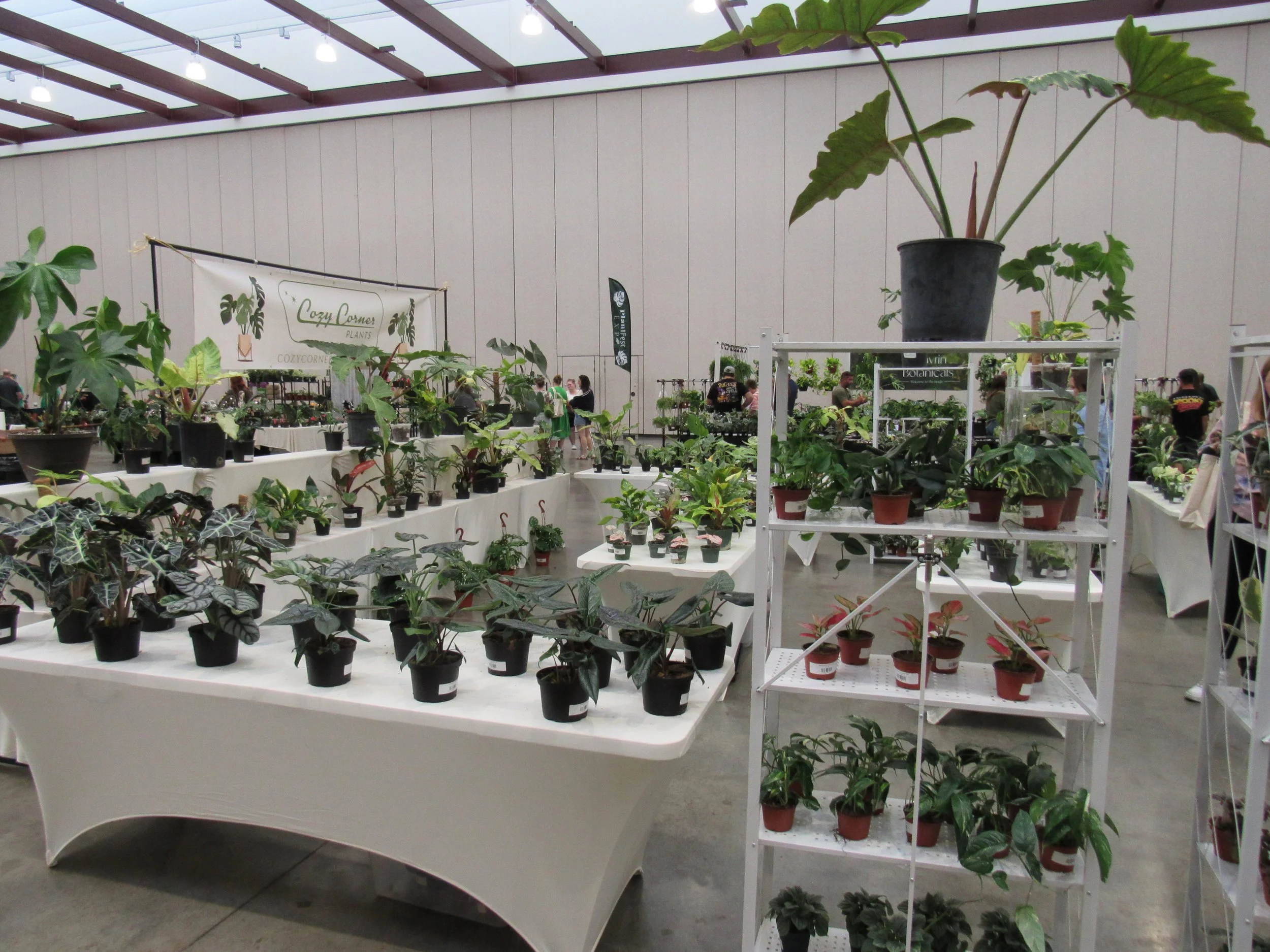 Indoor plant exhibition with various potted plants displayed on white tables and stands, people browsing, banners for plant stores, and a large potted plant with broad leaves in the background.