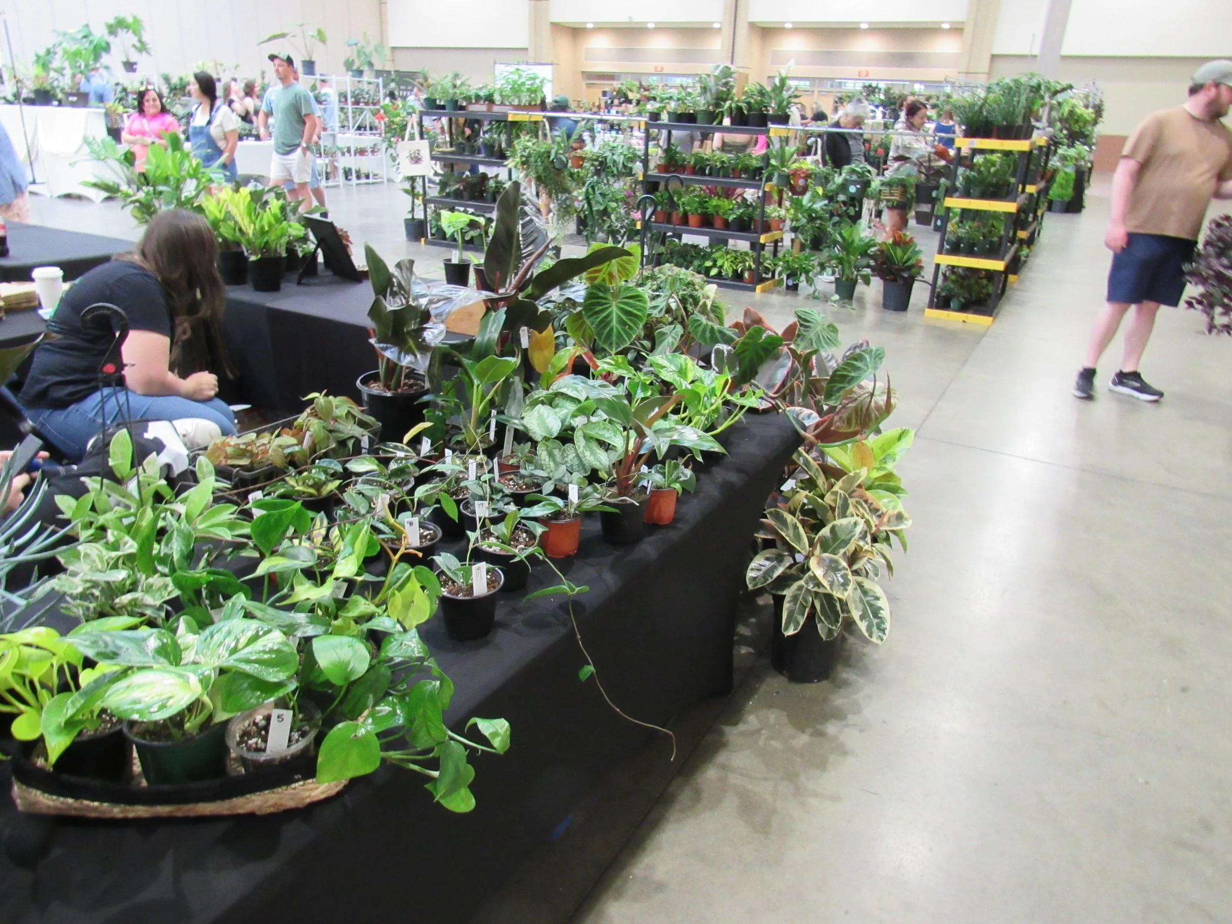 Various potted plants on display tables at a plant sale or exhibition in an indoor venue.