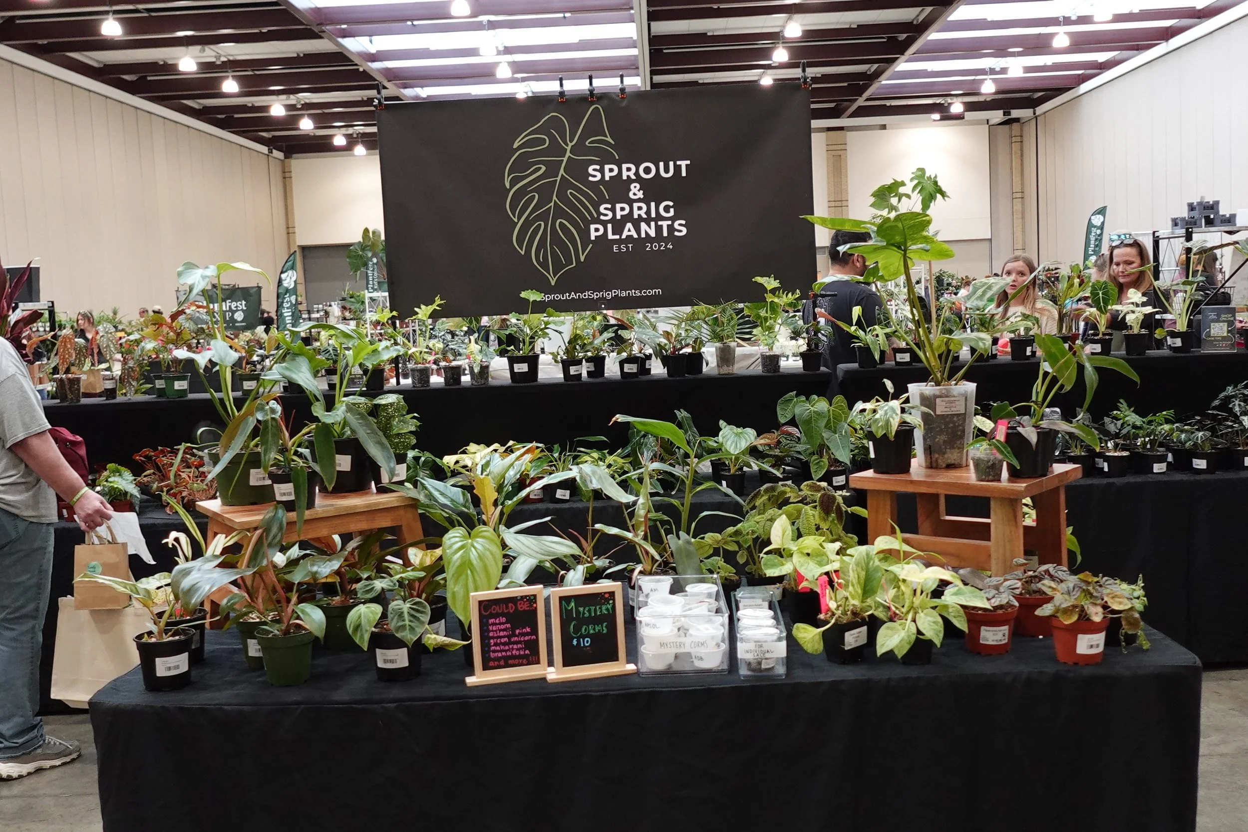 Indoor plant market stall with various potted plants, large sign reading 'Sprout & Sprig Plants,' and several people browsing.