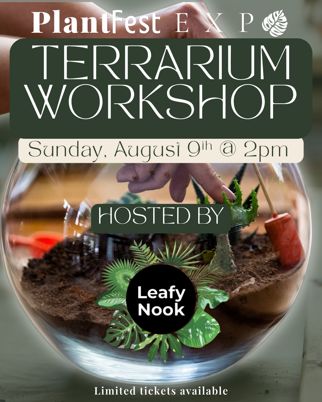 Terrarium Workshop with LeafyNook