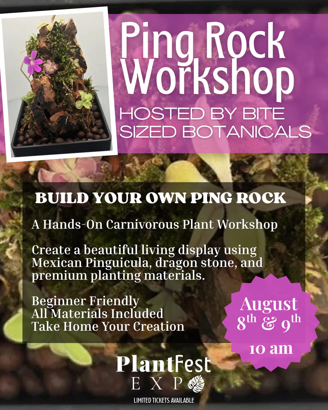 Ping Workshop-2.png