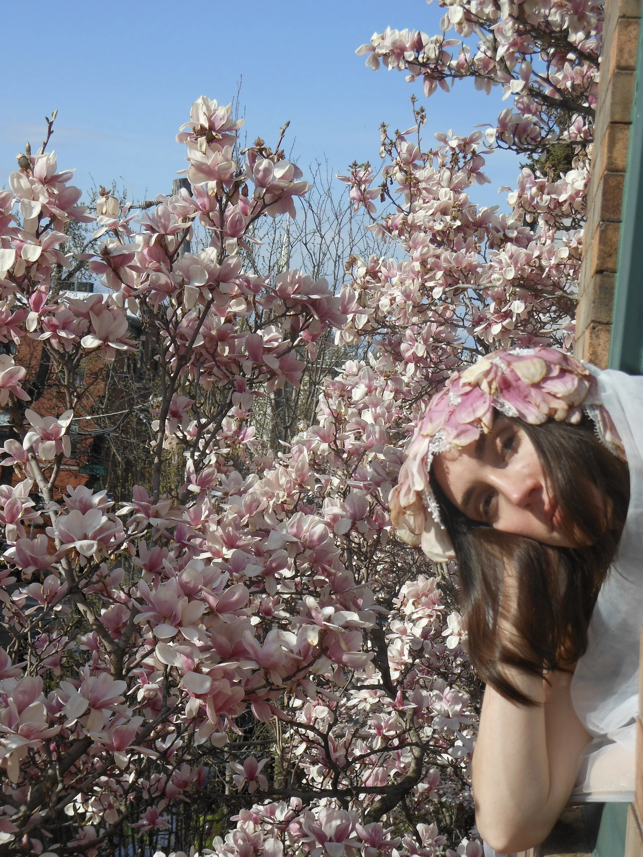 Magnolia