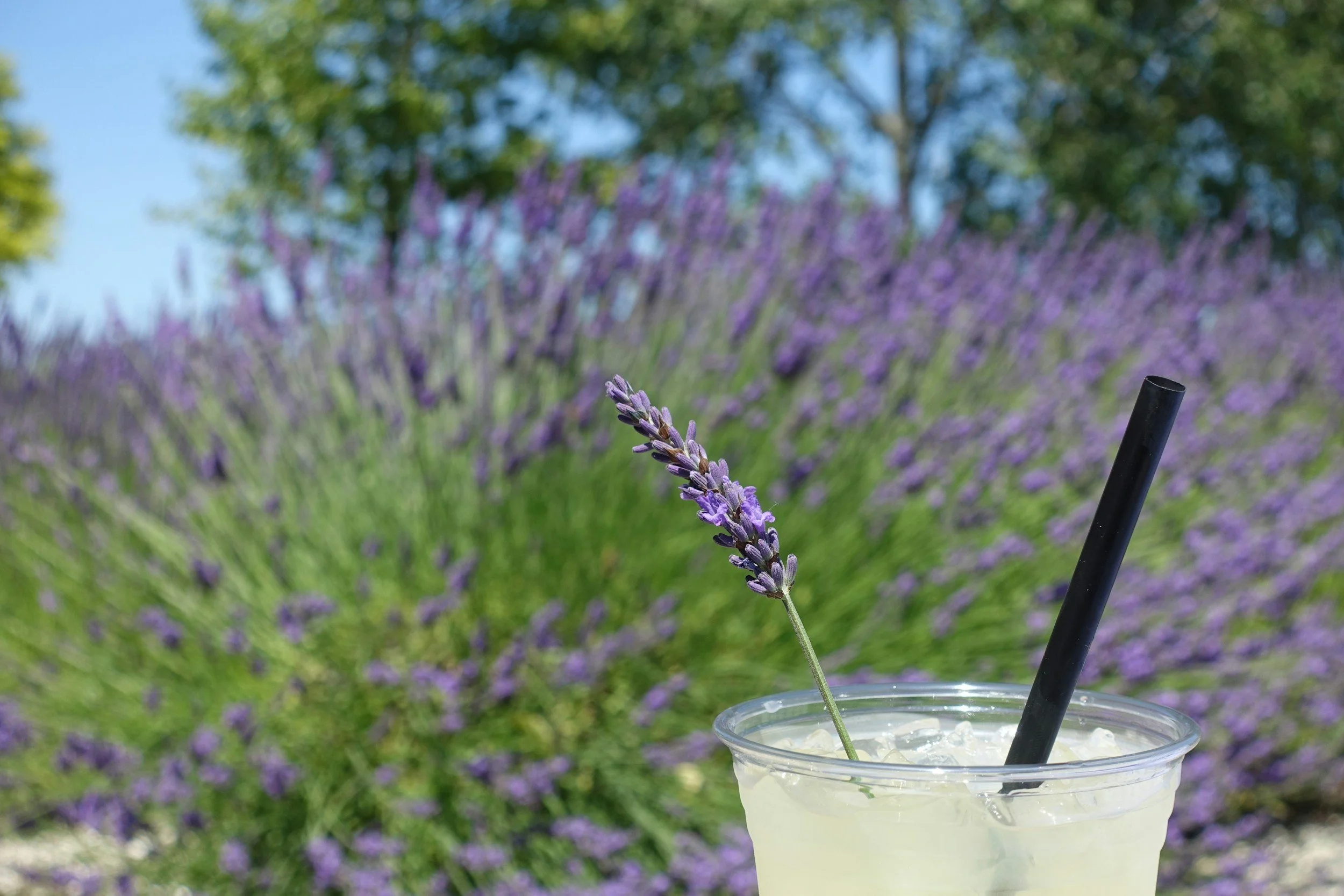 Lemon and lavender on a cutting board