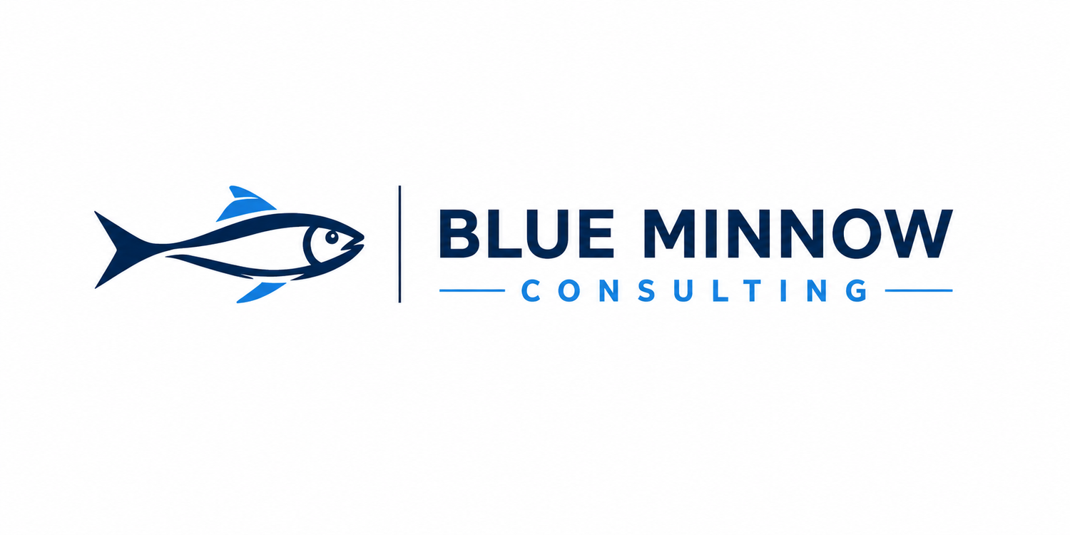 Blue Minnow Consulting