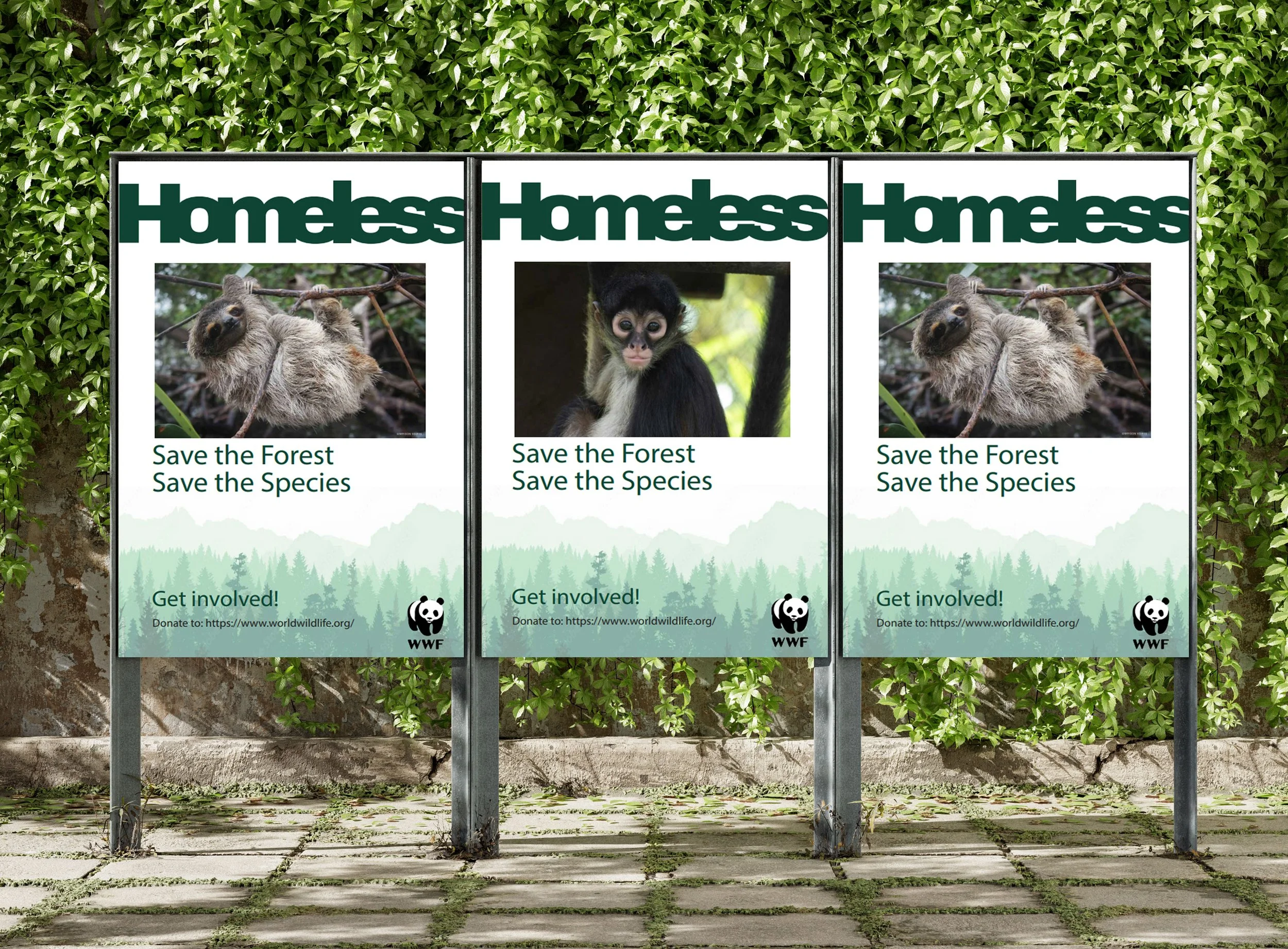 Homeless Animals Poster Series