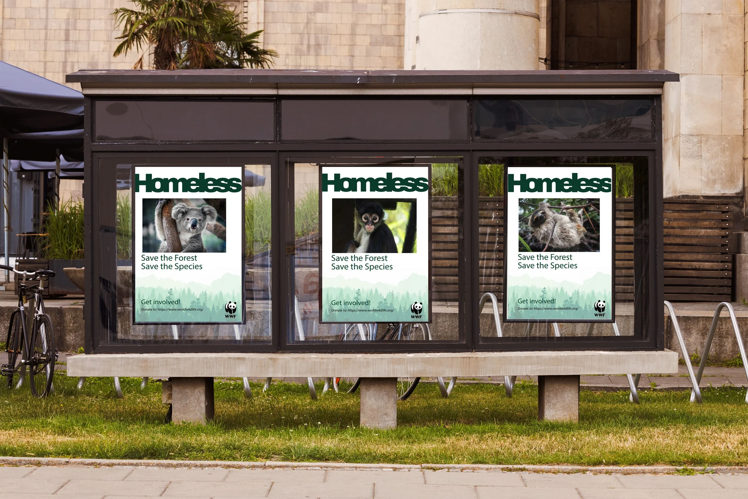Homeless Animals