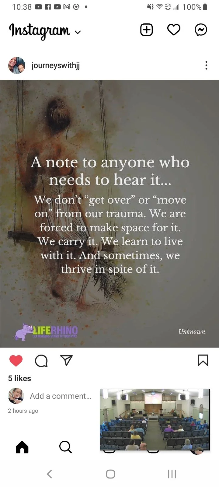 An Instagram post featuring a watercolor painting of a girl on a swing, with a note about trauma and resilience. The post includes an inspirational message about living with and thriving despite trauma, with the logo of Life Rhino at the bottom.