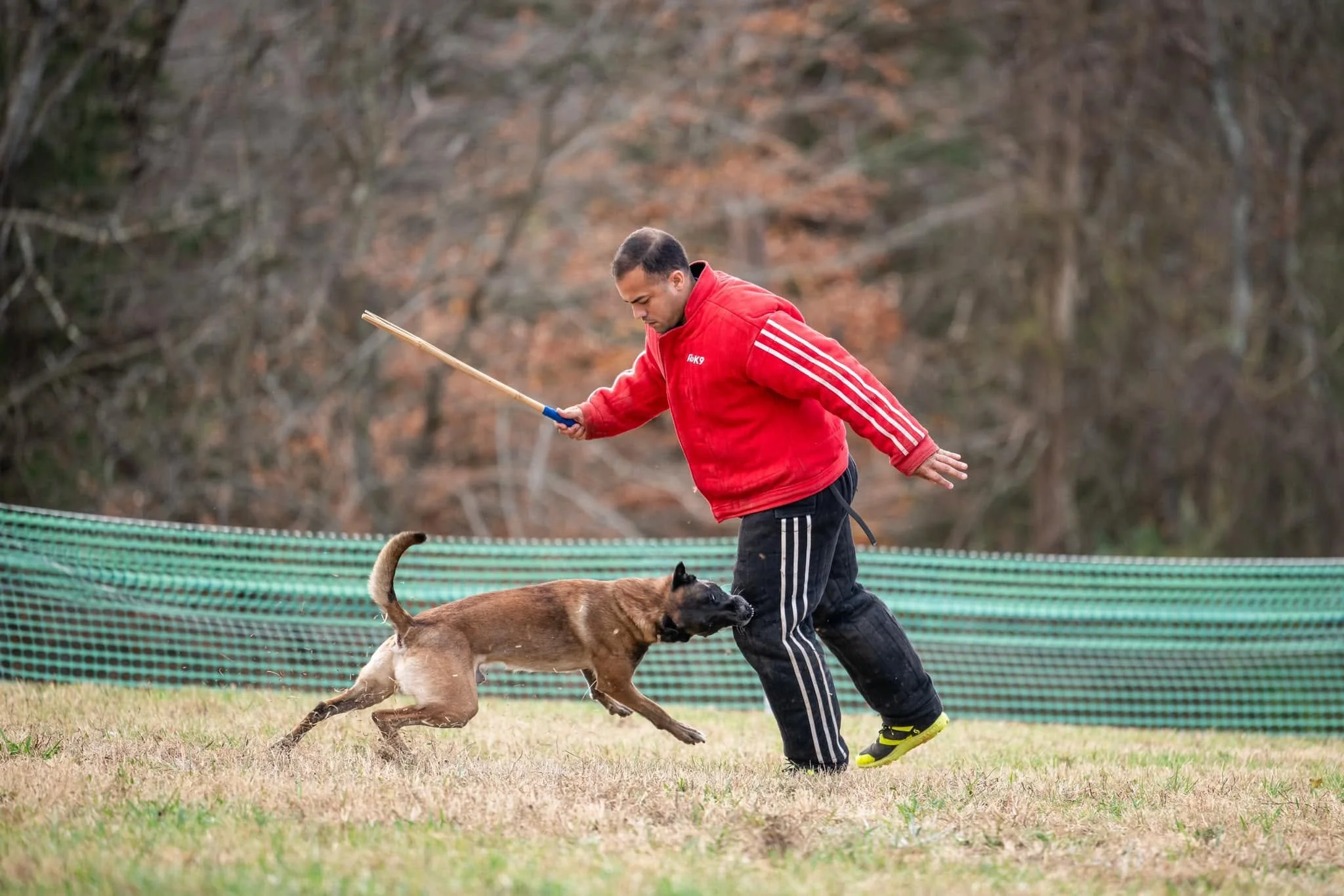 A young man wearing a red jacket and black pants plays with a large brown dog with black face markings in a grassy area outdoors, behind a green plastic fence with trees in the background.